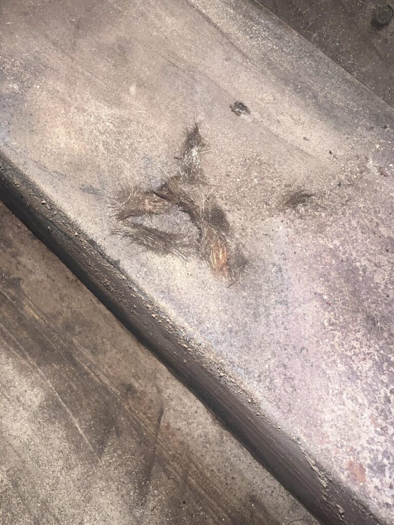 Did I discover insulation in my pit boss?