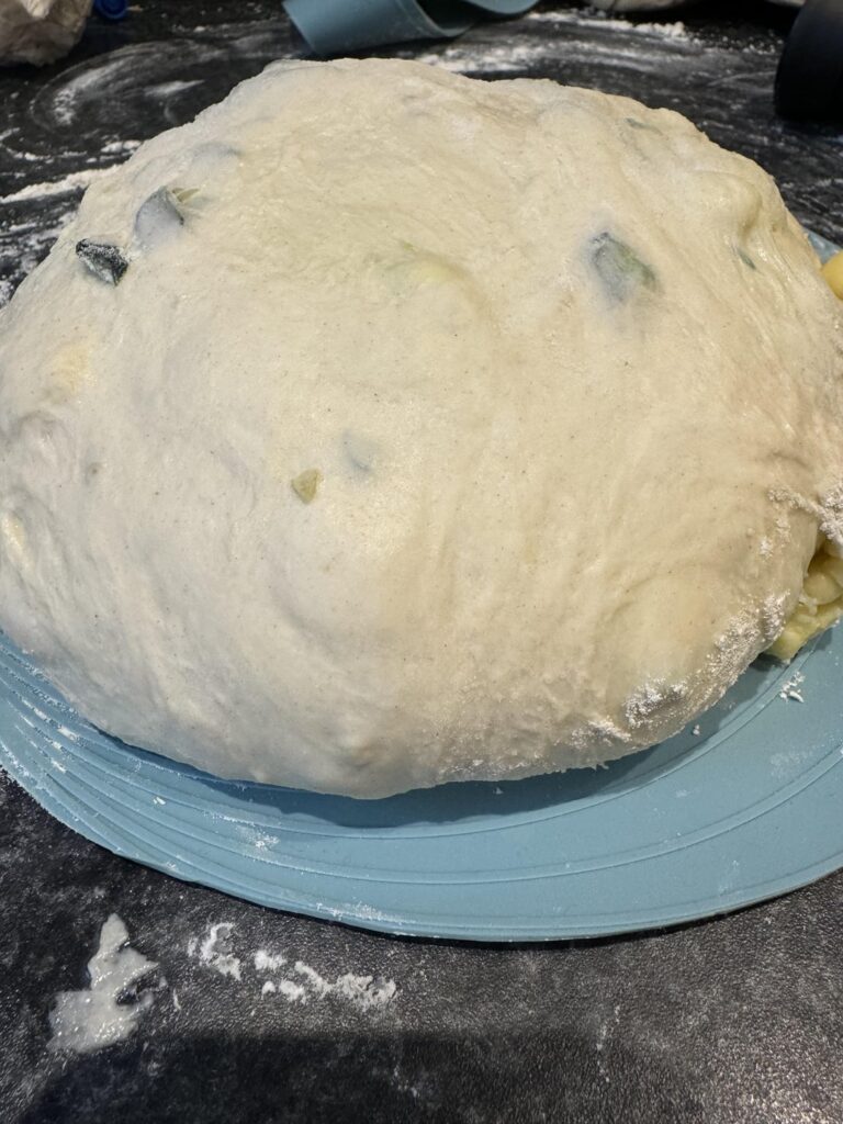 Do I still bake overproofed dough? Do I still bake overproofed dough?