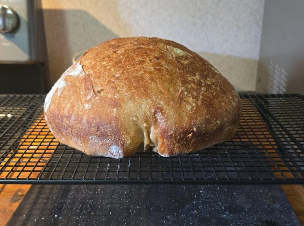 Parchment paper got messed up moving the dough to my Dutch oven, and my wife wont stop laughing at the "breadussy"