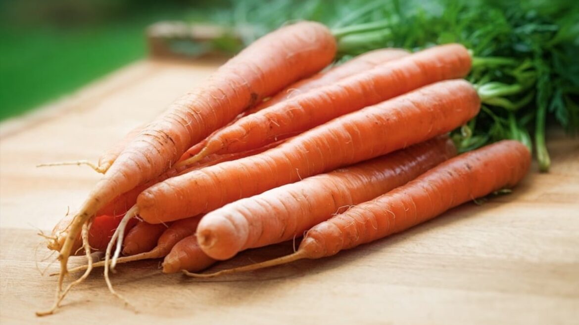 What Is Carrotmaxxing And Why Is It Trending? All You Need To Know