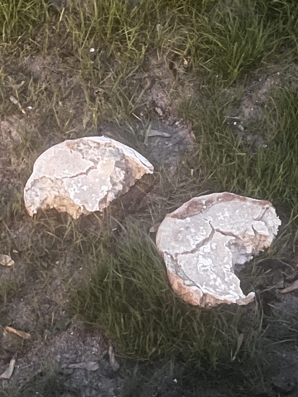 Ahhhhh!!! 😡😡 rage. Sourdough is going to be the end of me.