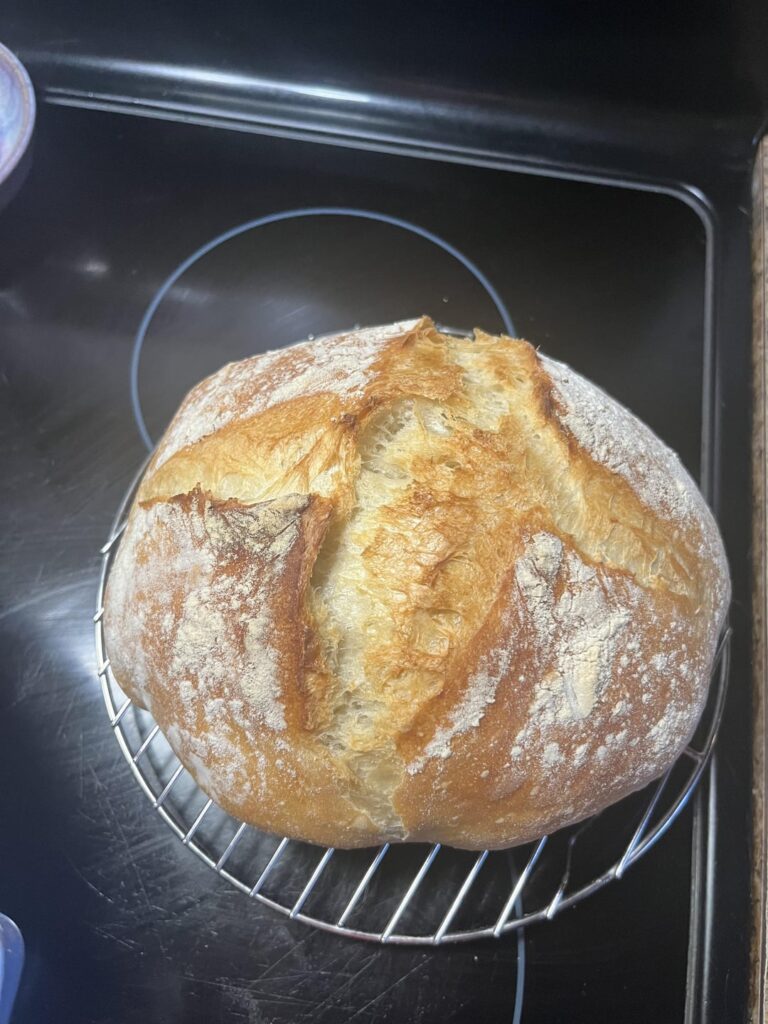 My first time making bread and I couldn’t be happier!