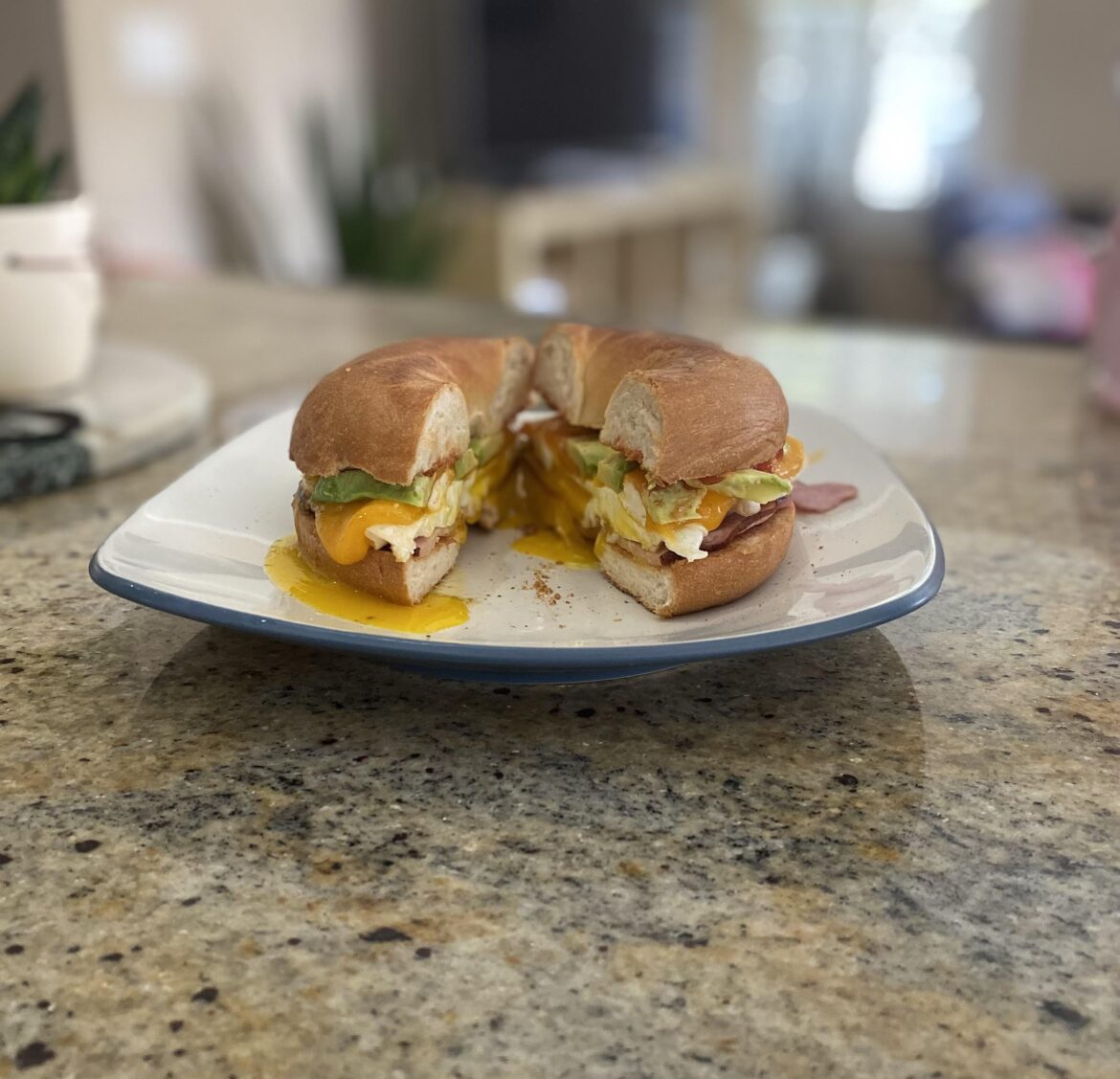 Ham egg cheese bagel Sammy w/ avocado.