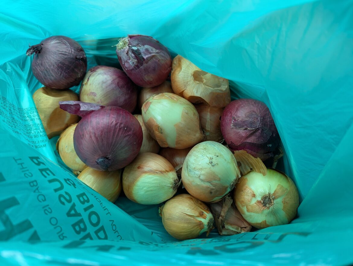 Farm stand haul - imperfect onions $4