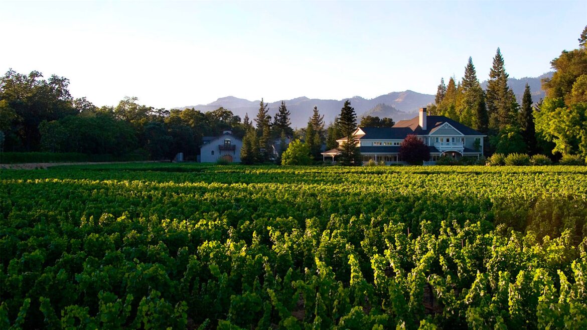 Duckhorn Wine Portfolio Refocuses Business on Core Wines