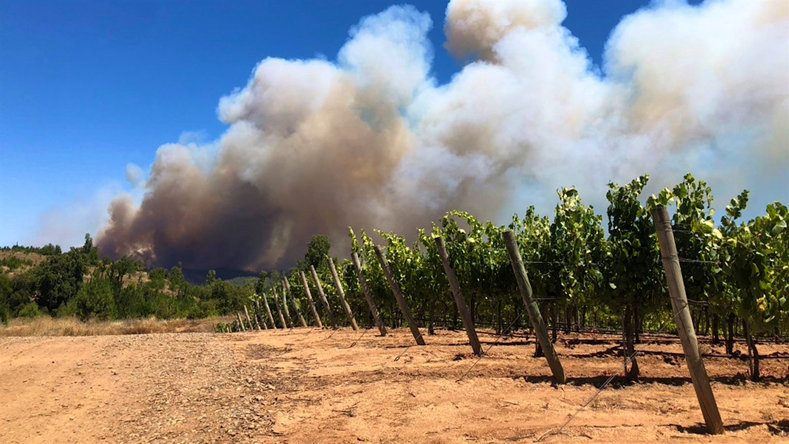 Chile wildfires] 