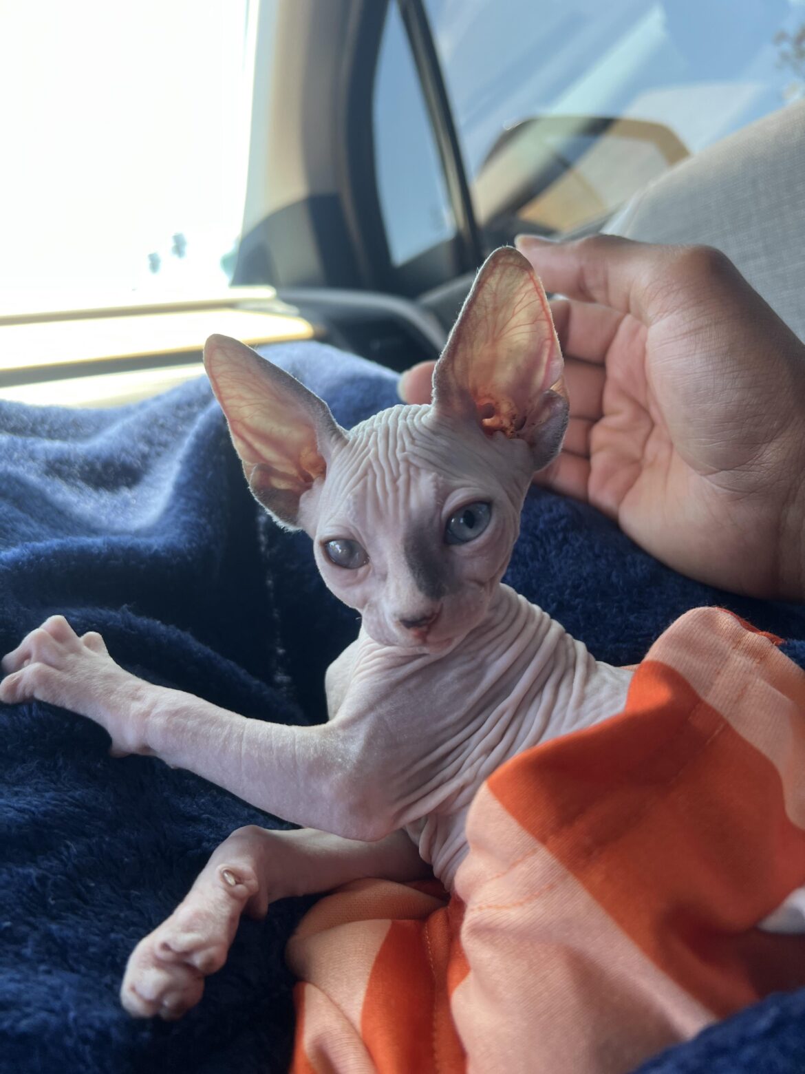 With what to clean it?