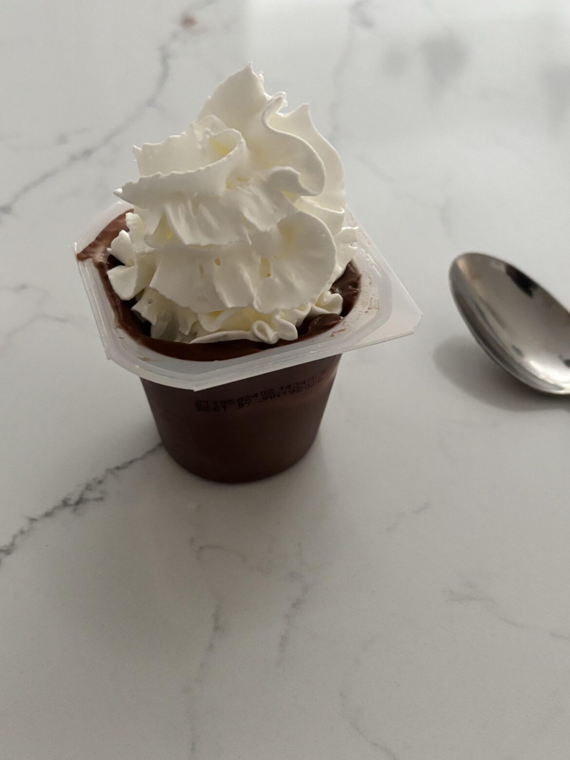 Chocolate pudding + Whipped cream