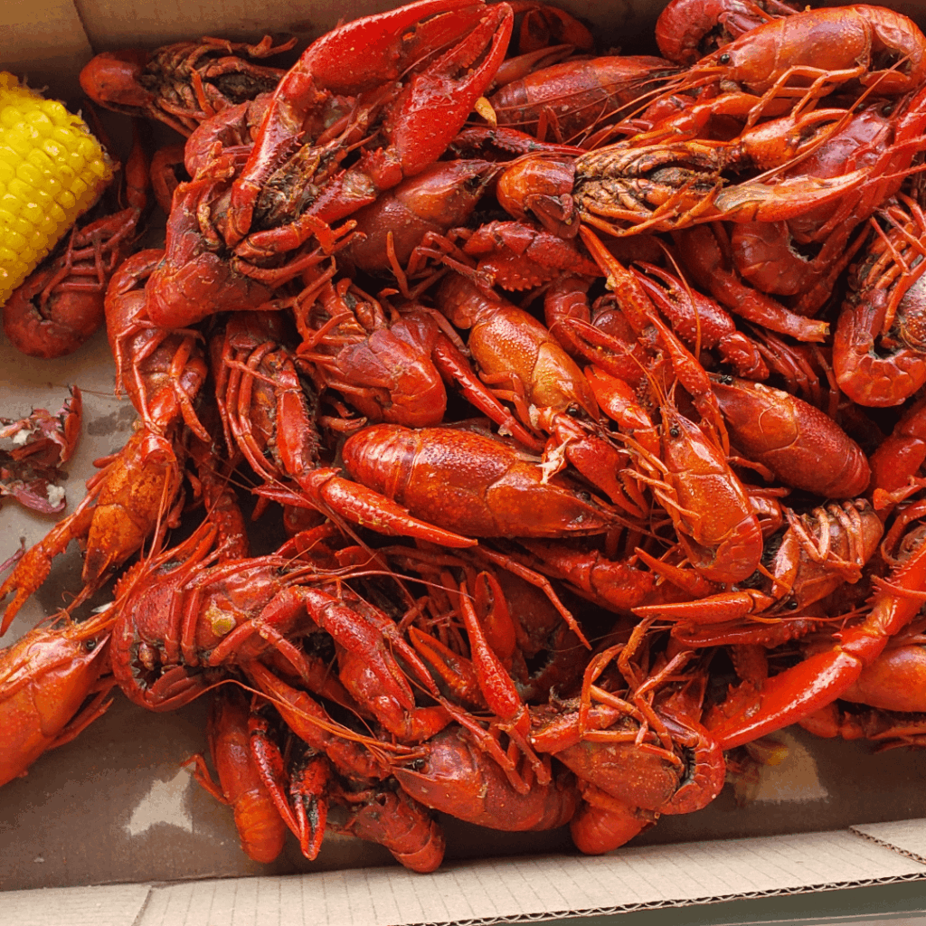 Crawfish all spring