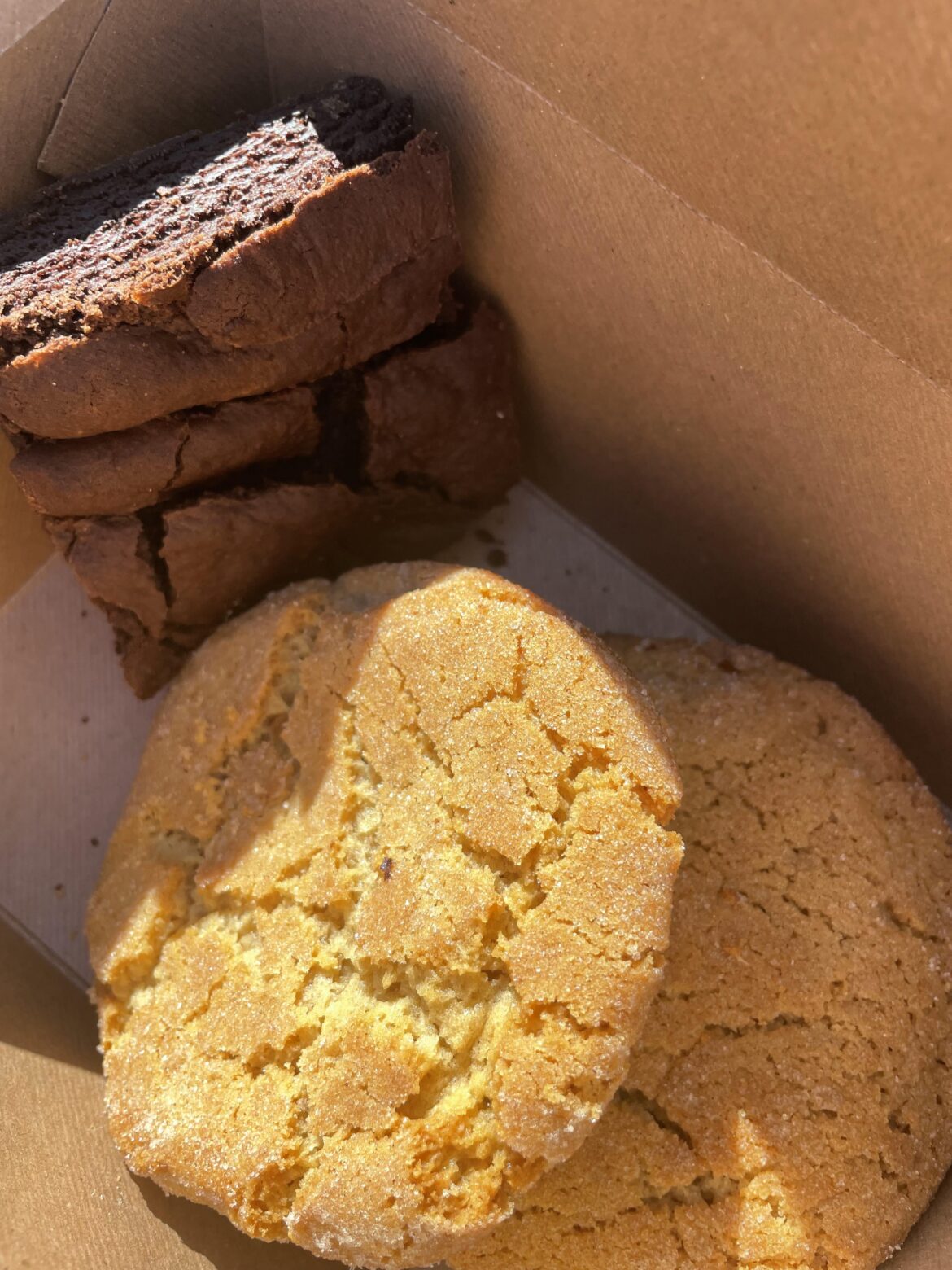 snickerdoodle cookies and a brownie!