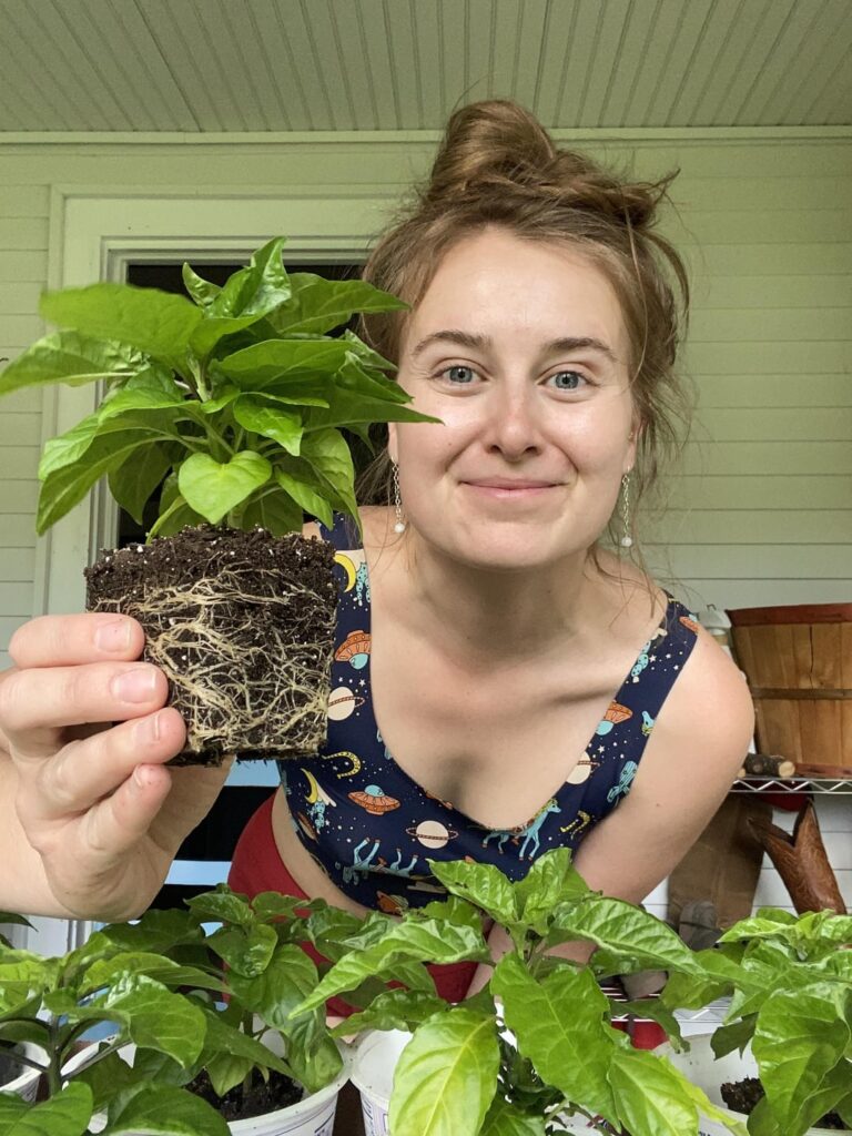 Potting up Super Hots!! Potting up Super Hots!!