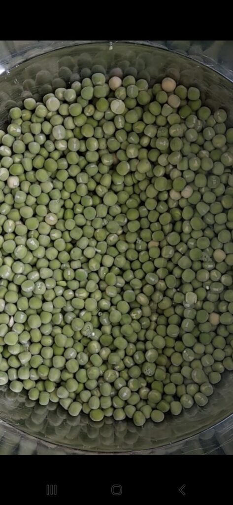 How good did i chopped this?