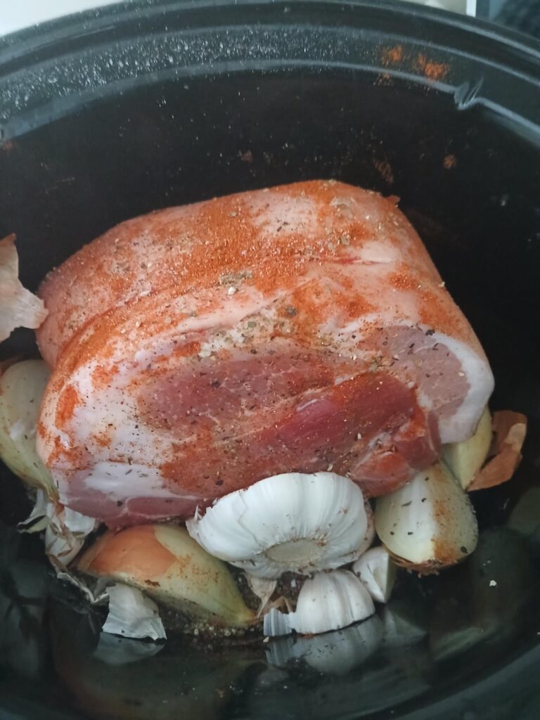 1st attempt at pulled pork