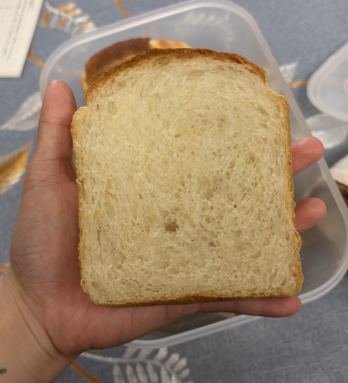 72% hydration white bread