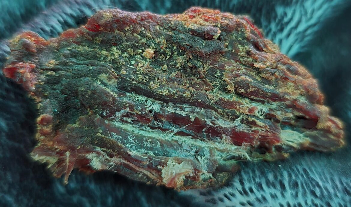 Is this white flaky stuff on my beef jerky mold?