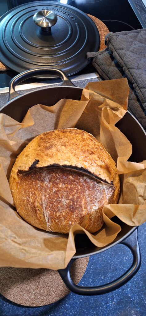 First time sourdough