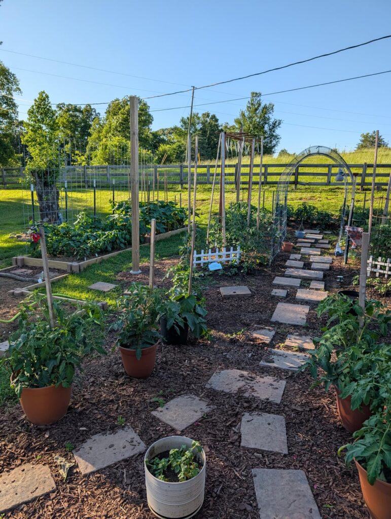 UPDATE: The bees have arrived!!! The squash are buzzing!! UPDATE: The bees have arrived!!! The squash are buzzing!!