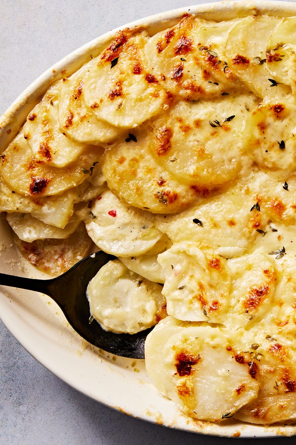 scalloped potatoes in creamy sauce in a white casserole dish baked and topped with cheese