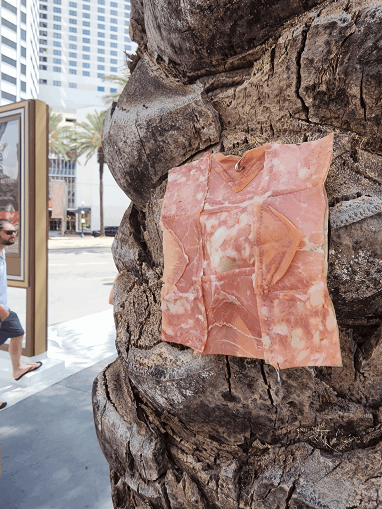 Meat Quilt on Palm. New Orleans LA 10:47am 5/24/25