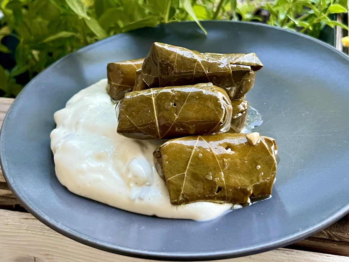 Dolmadakia and Tsatsiki