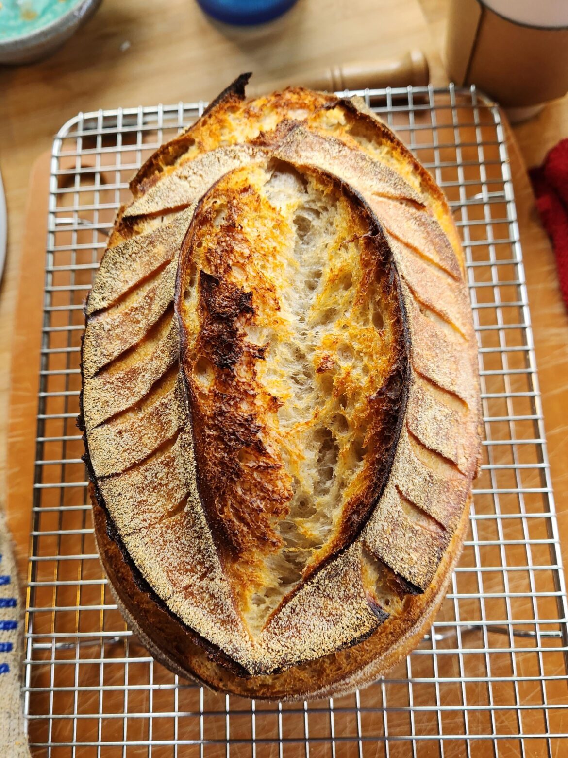 The scoring was supposed to be a leaf, not an homage to Georgia O'Keeffe