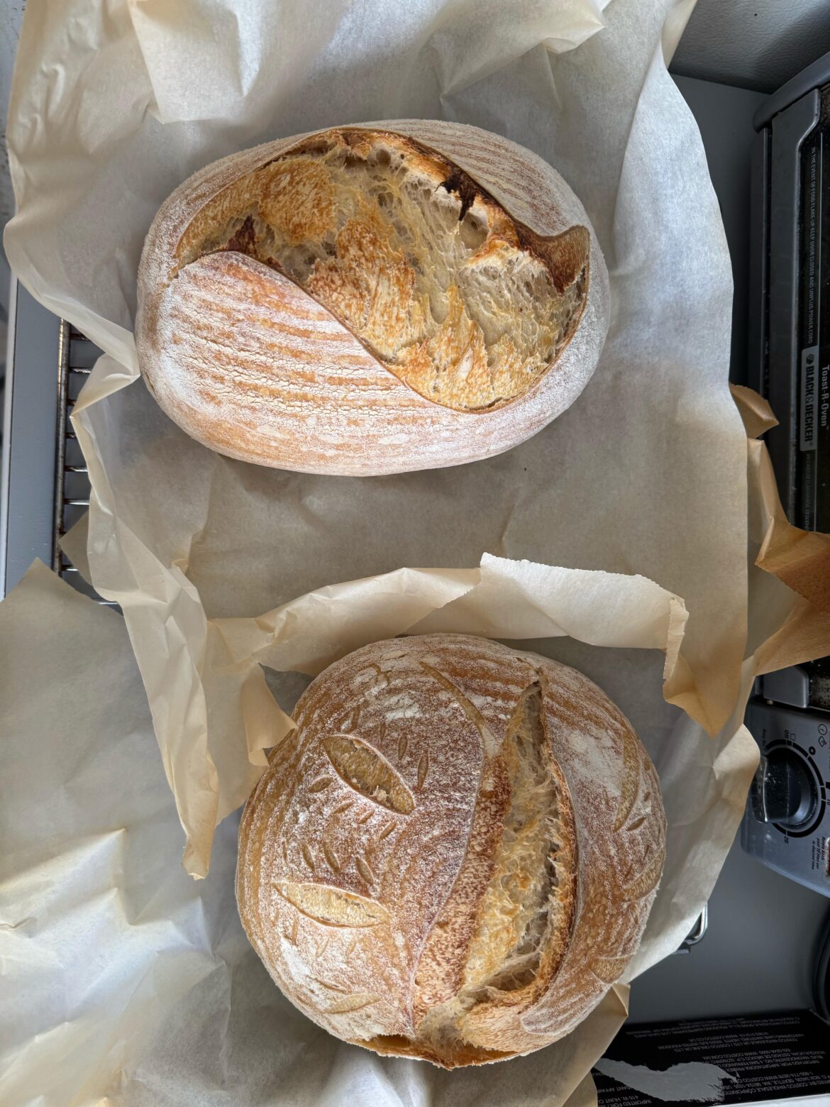 Do you prefer Batard or Round when shaping?