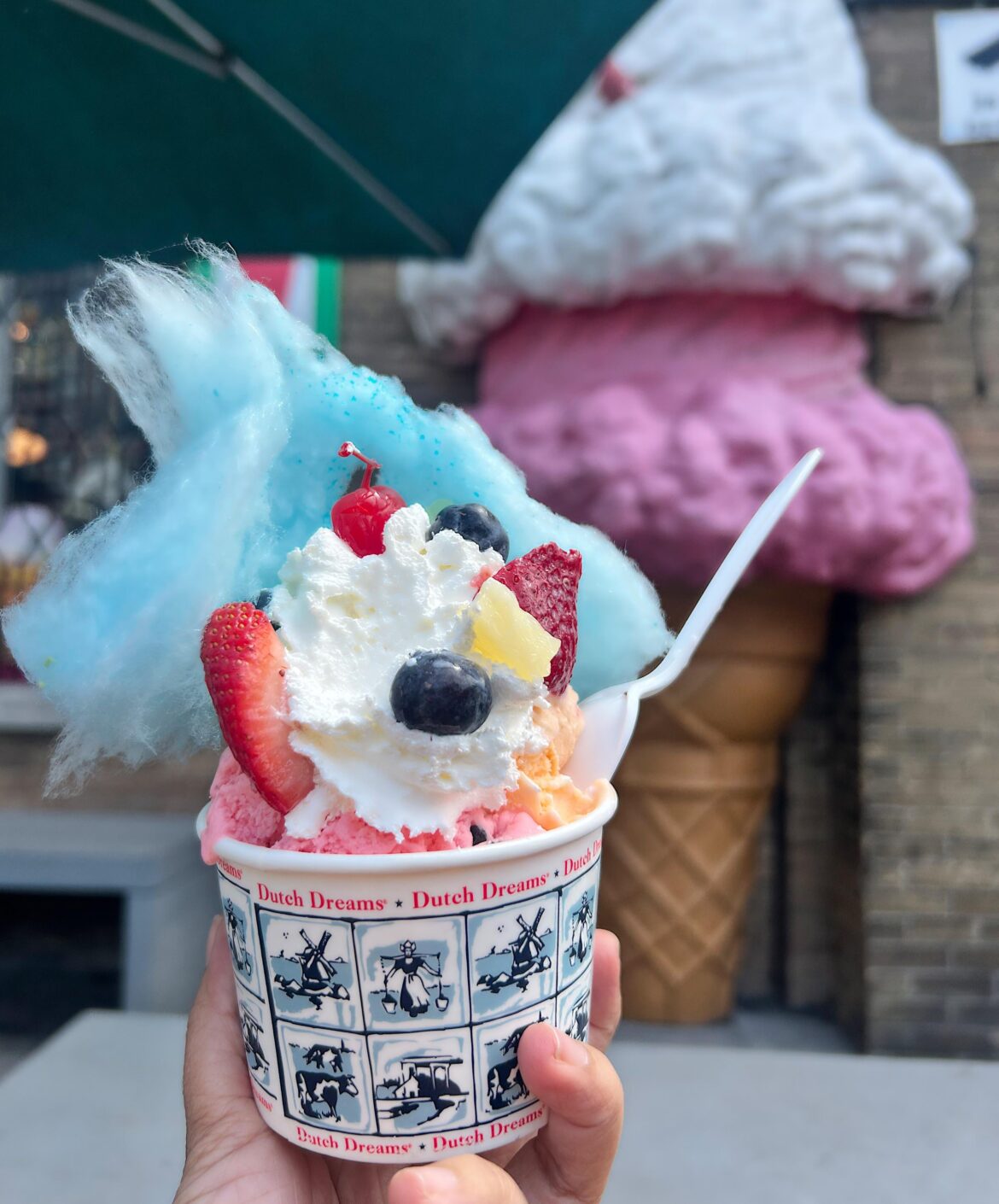 Dutch Dreams Icecream