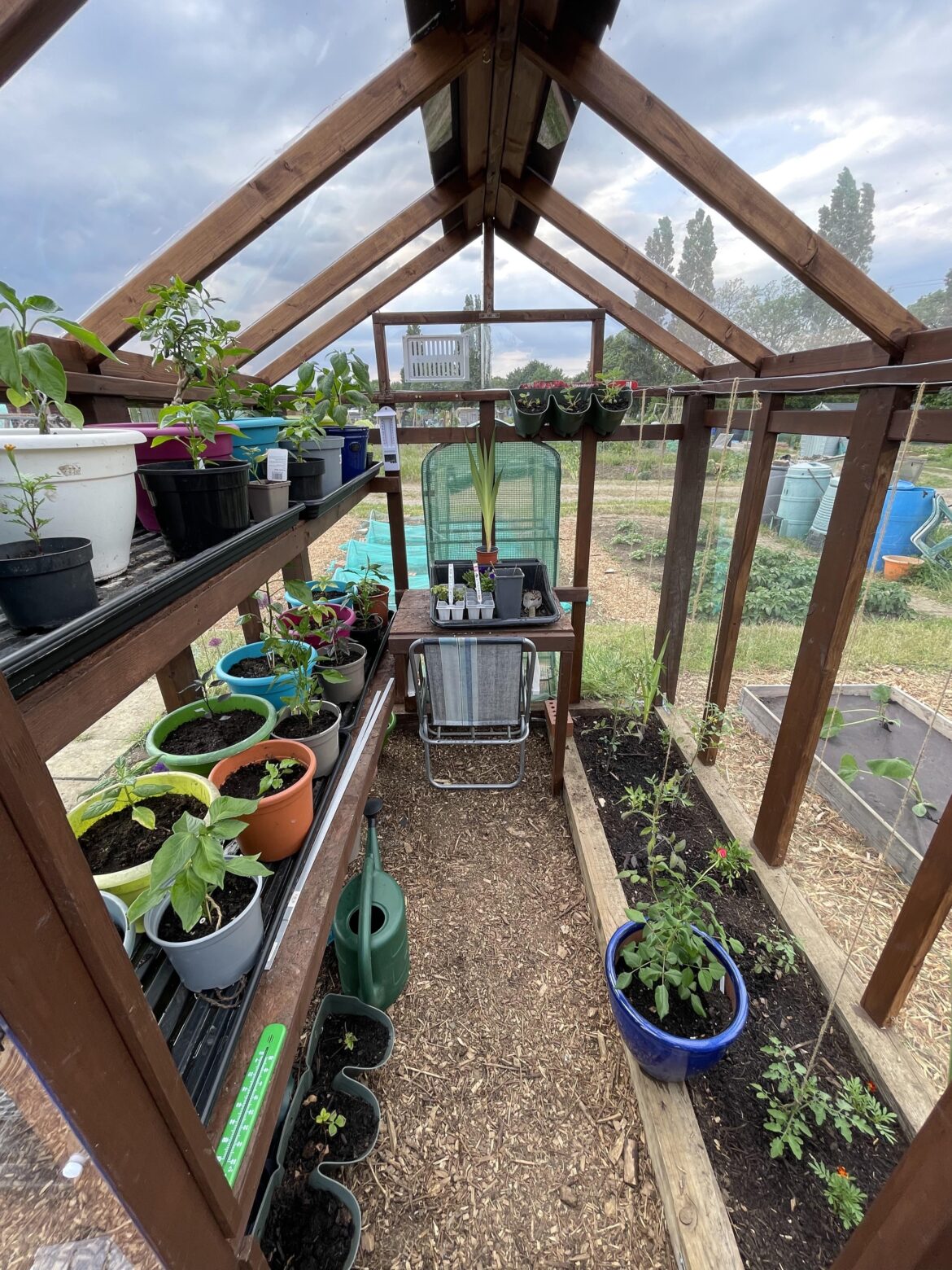 Built a greenhouse with my dad