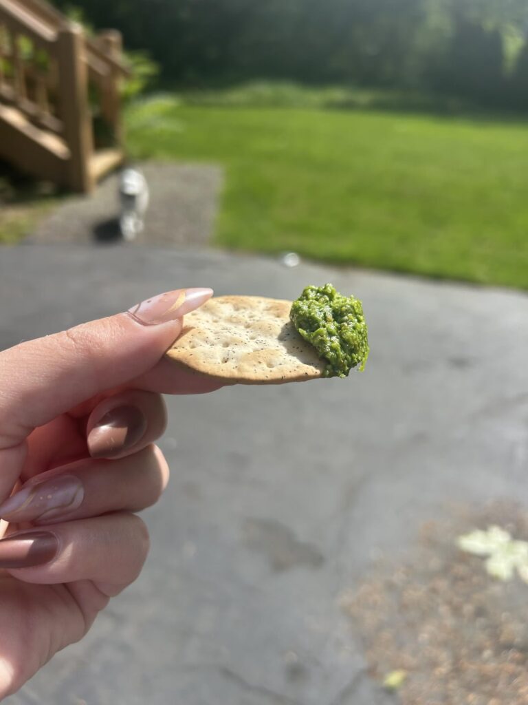 Parsley almond wasabi pesto dip