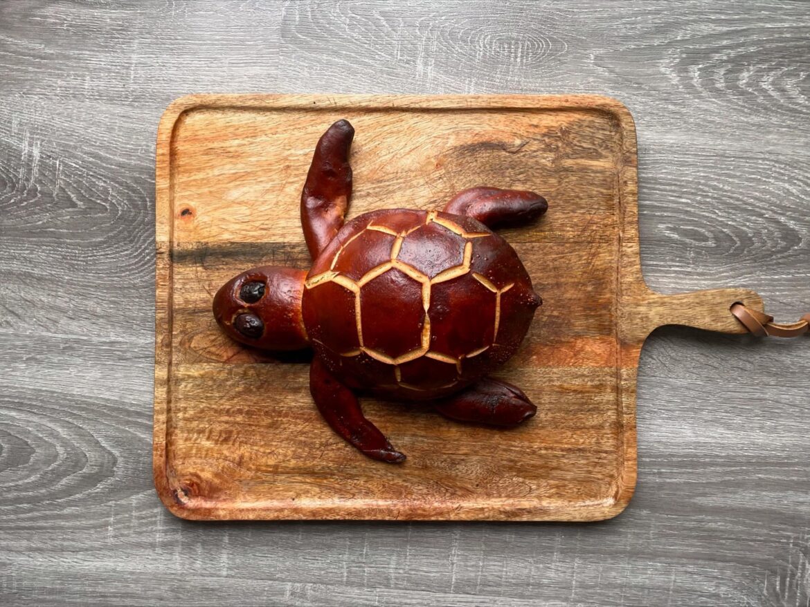Jumbo turtle pretzel bread!