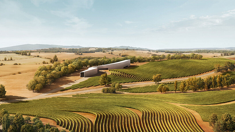 ribbon of hempcrete and cork winds through spanish highlands in fran silvestre's winery