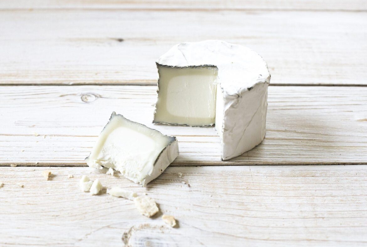 Day 1670 of posting images of cheese until I run out of cheese types: Fog Lights