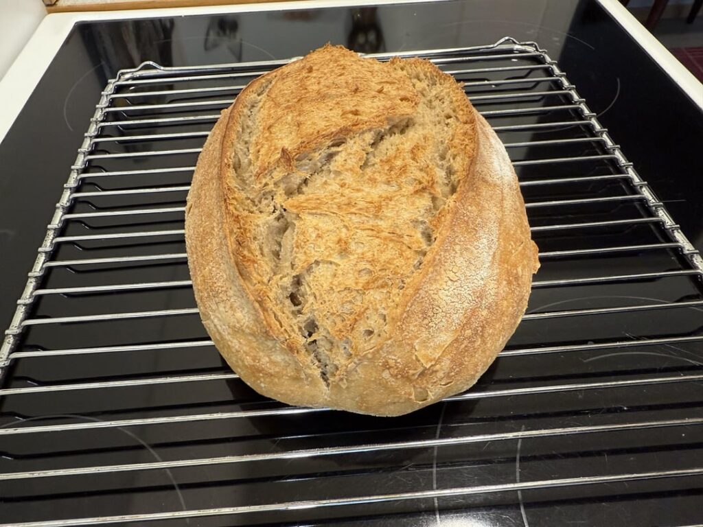 First attempt, never baked, never eaten bread before, just threw this together on a whim