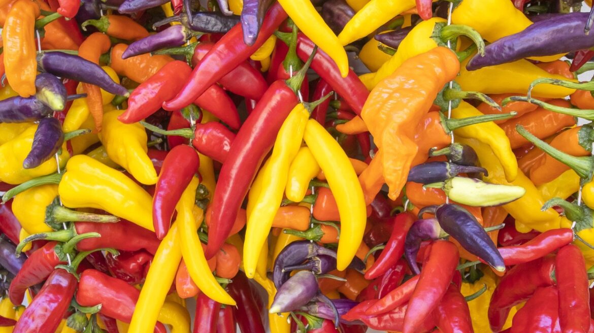 It’s the antithesis of this entire subreddit.