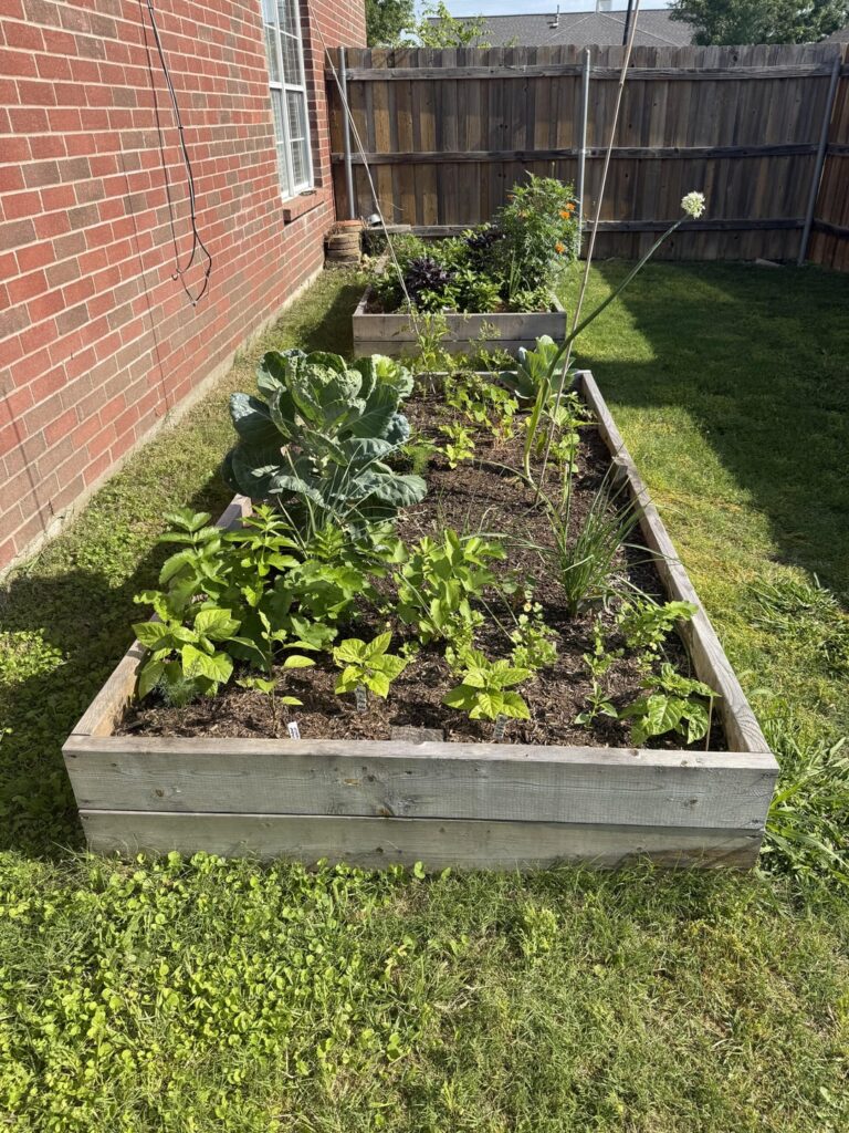 New to this gardening thing