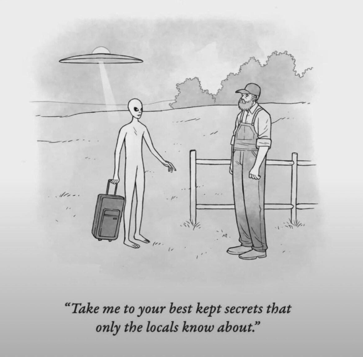 If they were to land in NY 👽