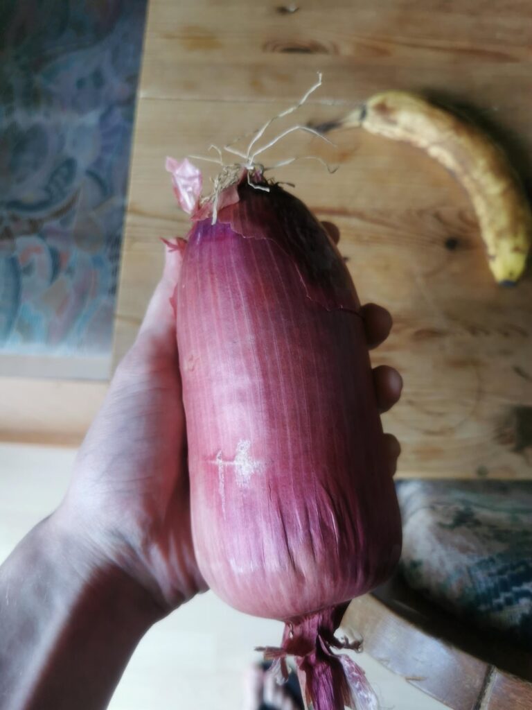 I think I have something for you guys 👀