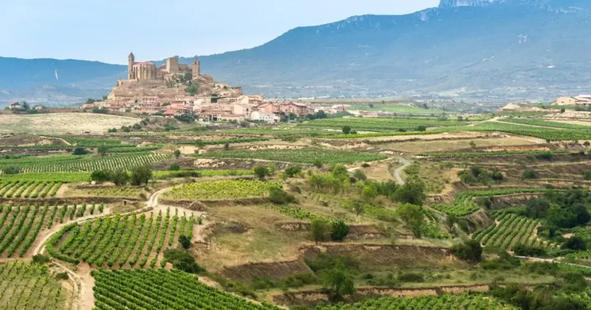 Spain's 14 Best Vineyards And Wine Towns You Won't Want To Miss