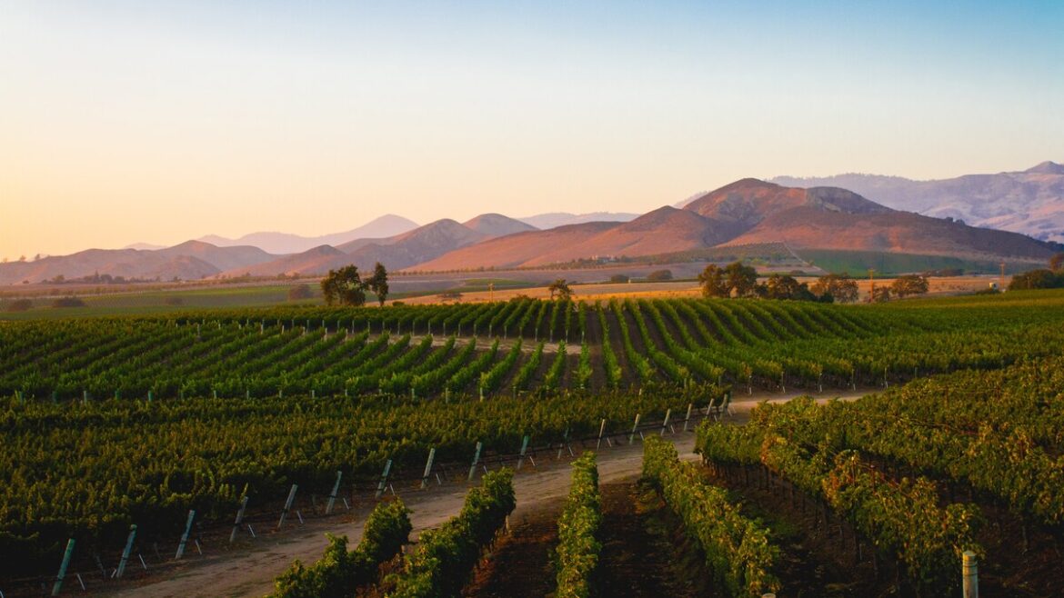 Why you should skip Napa and sip wine in California at these places instead Why you should skip Napa and sip wine in California at these places instead