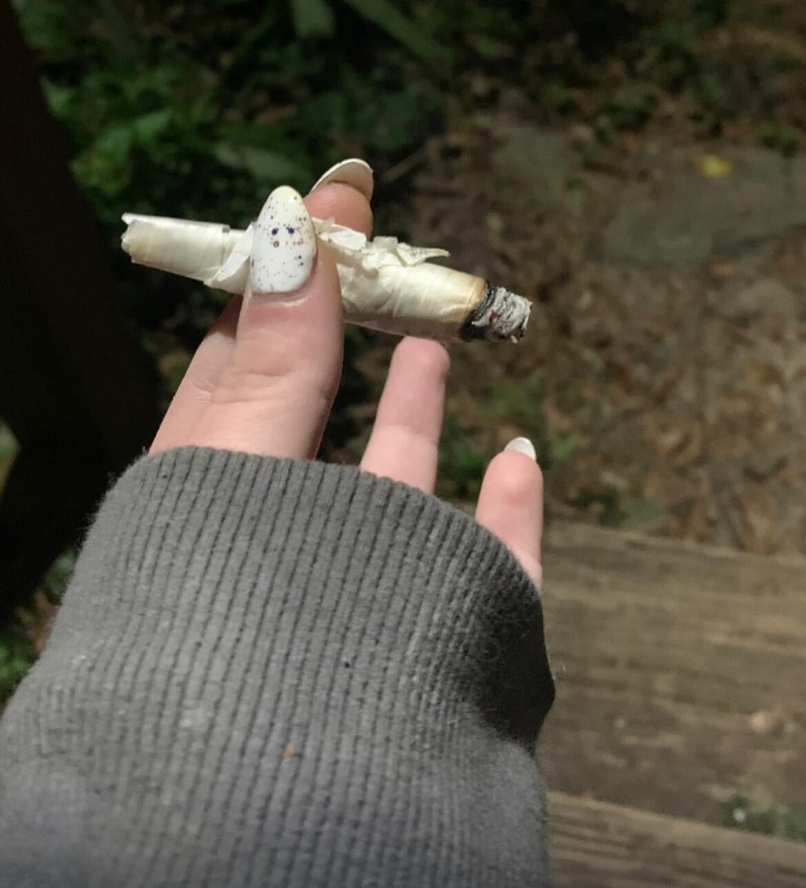 I rolled up with an onion peel last night because I ran out of papers