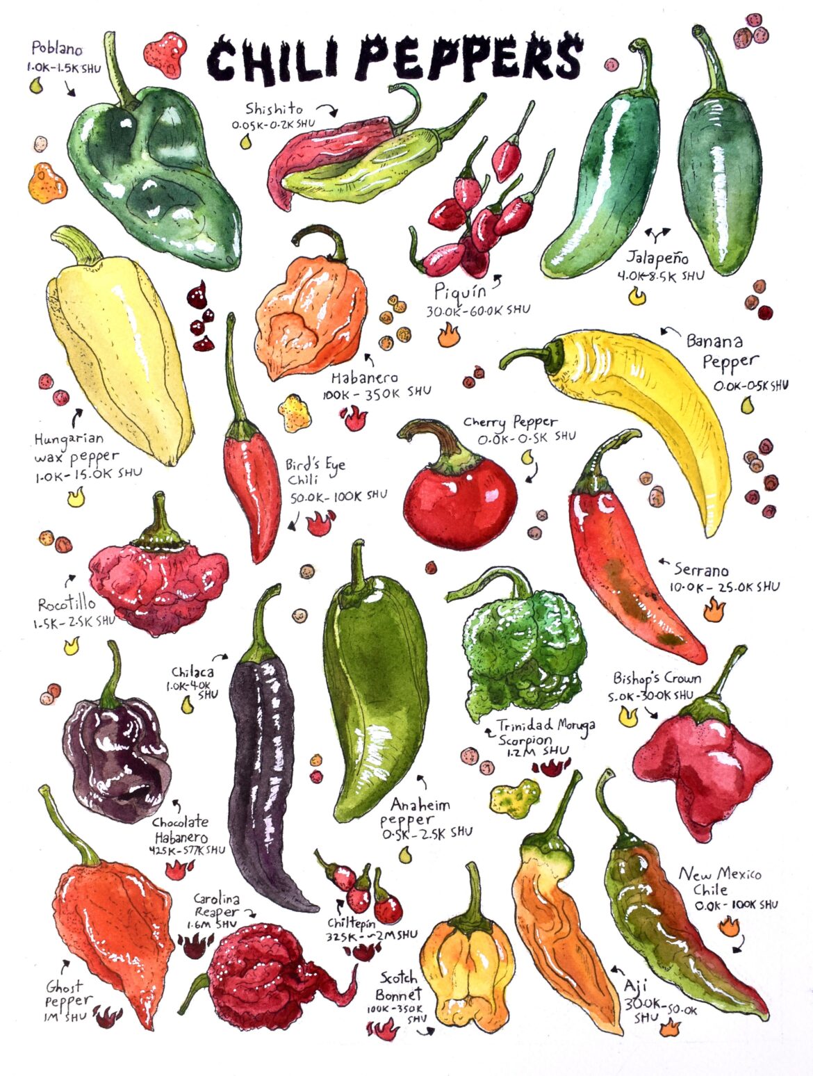I painted a collection of spicy fruit and wanted to share!