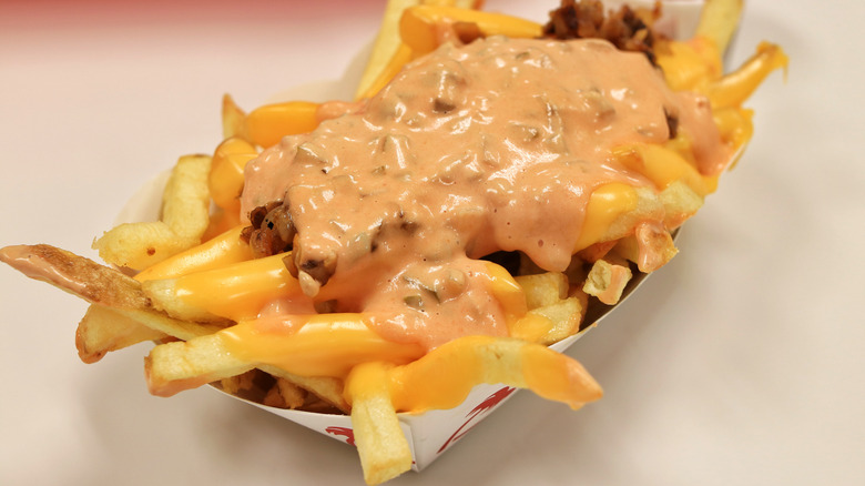loaded fries from In-N-Out burger