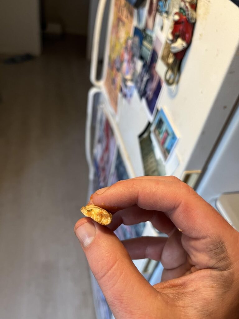 What is wrong with my sardine?