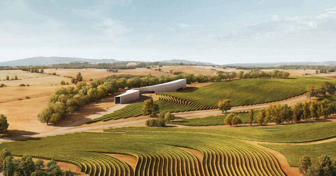 Spanish winery uses hempcrete to preserve ancient grape varieties