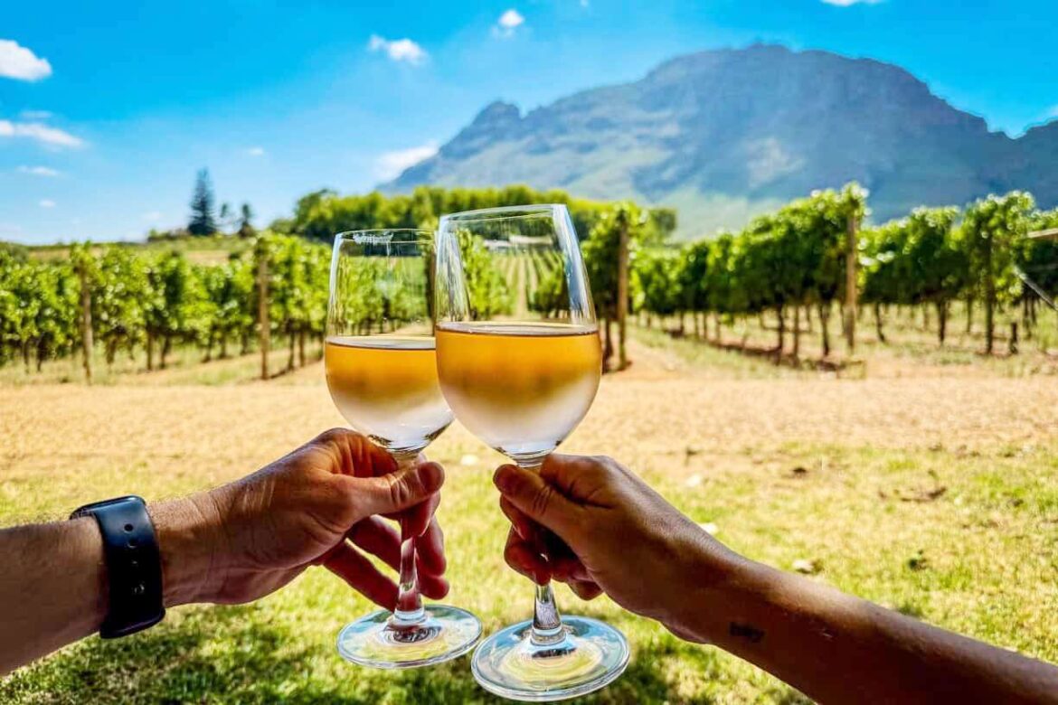 Mick O’Connell’s Four Corkers: South African beauties from €20 to €140