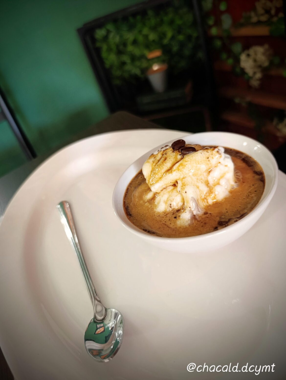 Coffee and plants: a perfect combination