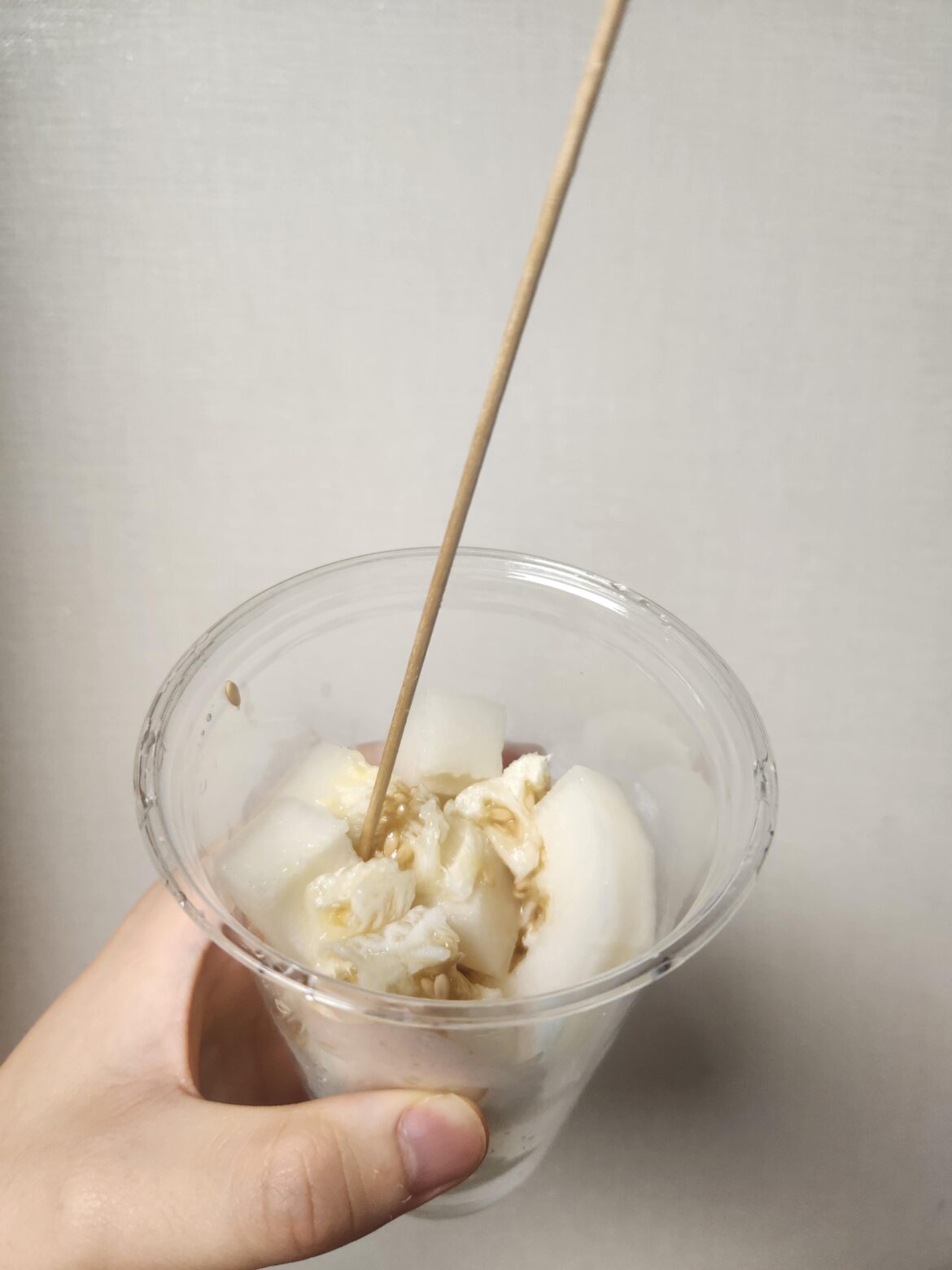 Do you guys like Korean Melon(Chum-oe)?