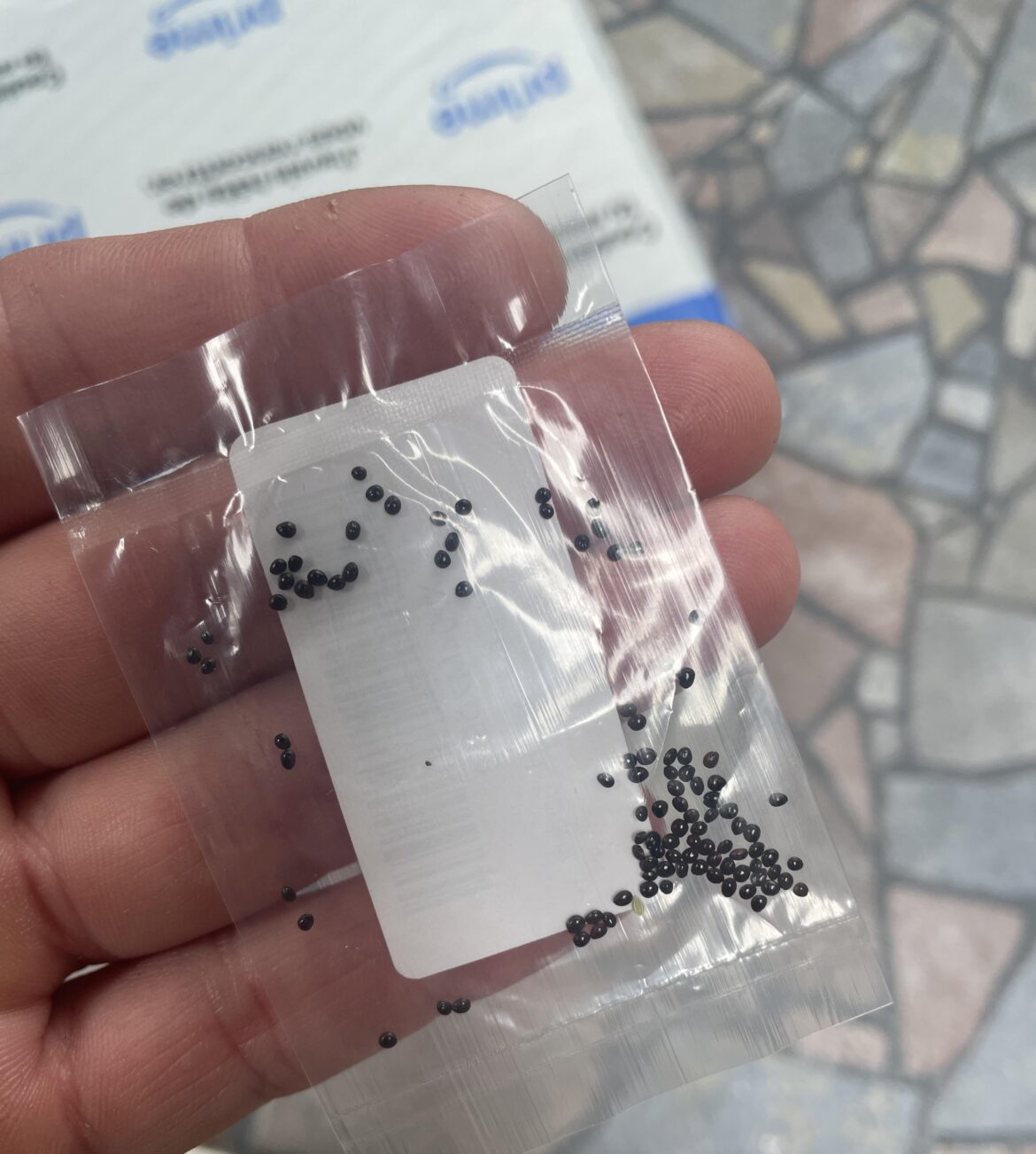 Are these golden Greek pepperoncini seeds??