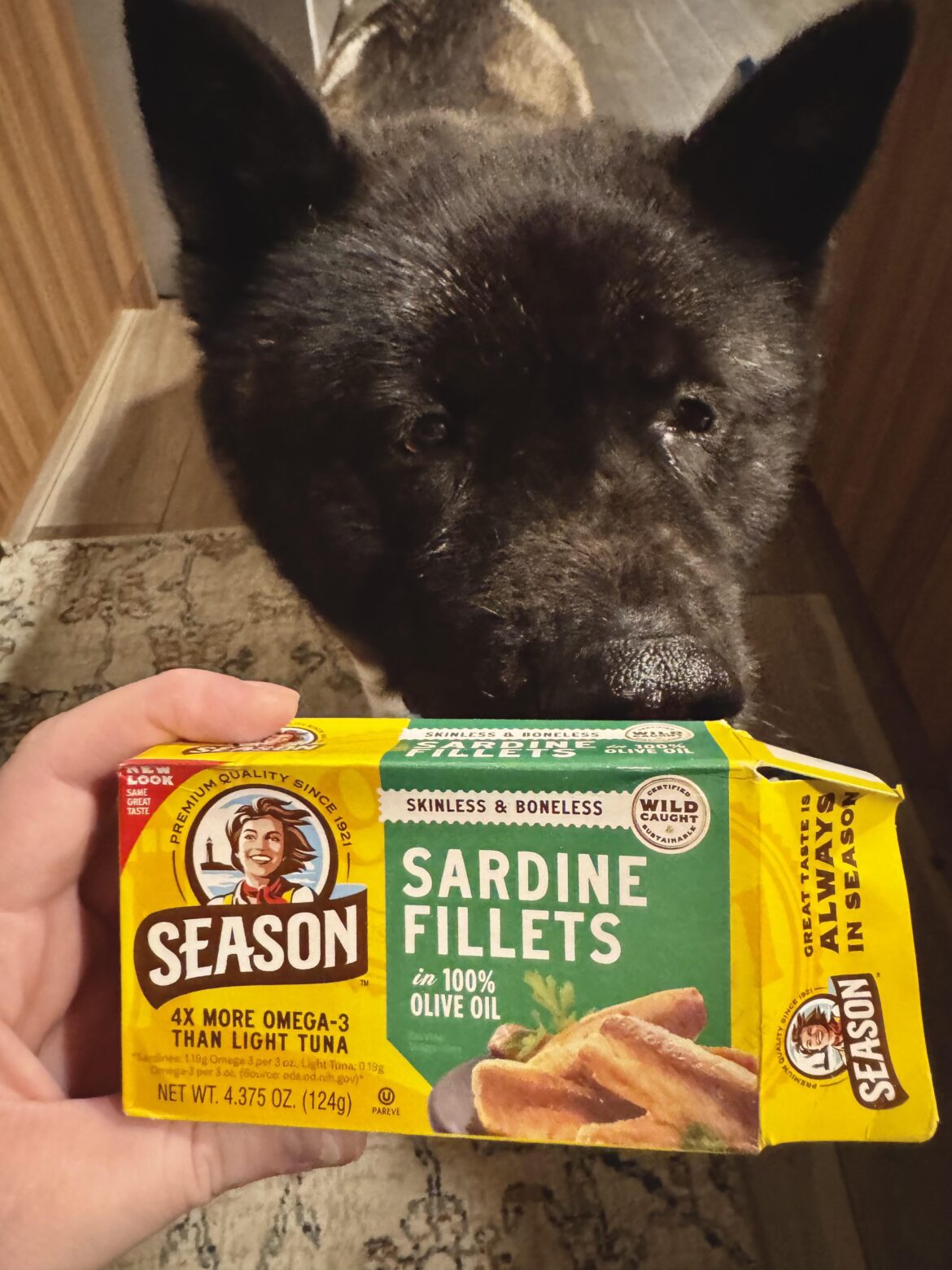 My sweet girl is an absolute fiend for sardines.