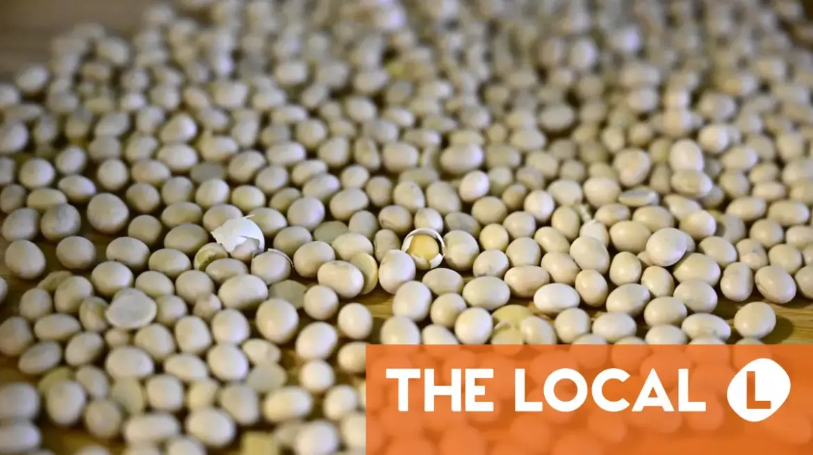 French health authorities issue warning about soy products